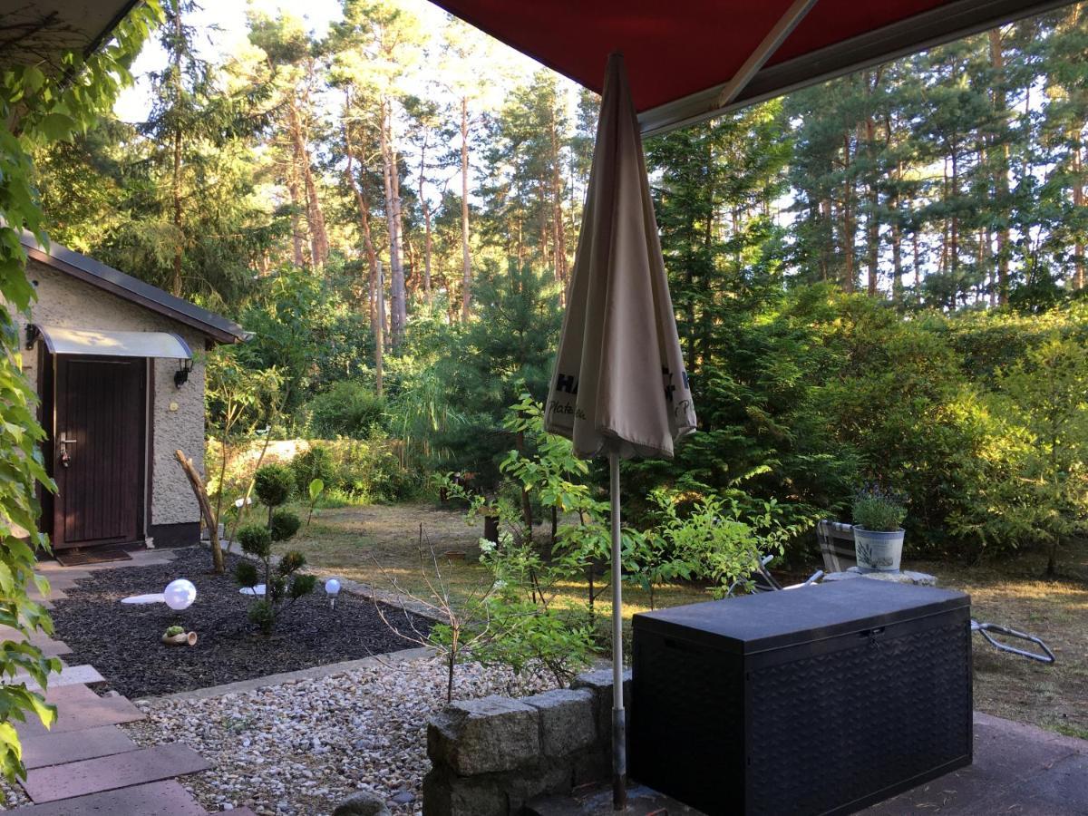 Wald Und Seeidylle, Nahe Badesee, Spreewald, Berlin *