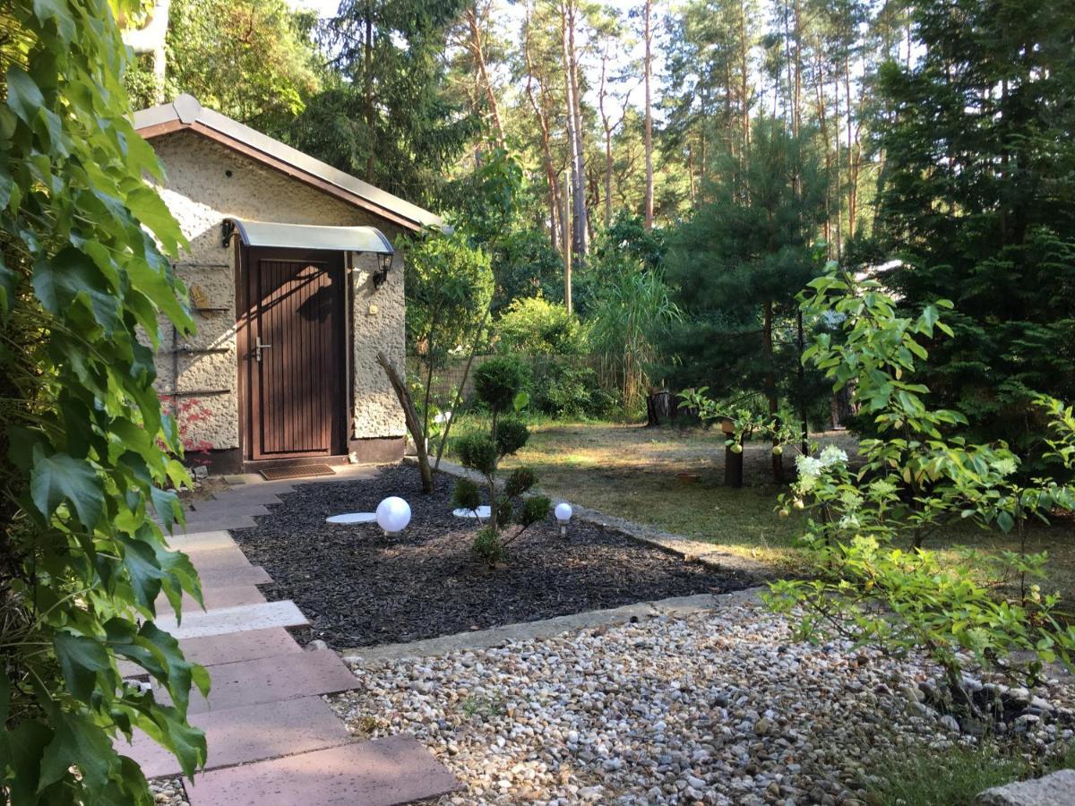 Wald Und Seeidylle, Nahe Badesee, Spreewald, Berlin *