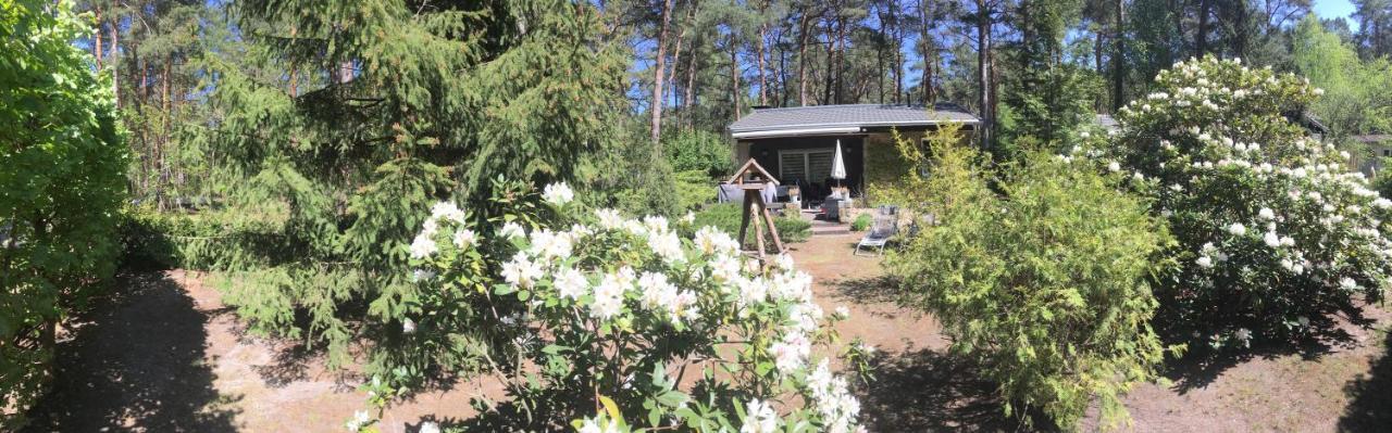 Wald Und Seeidylle, Nahe Badesee, Spreewald, Berlin Holiday home